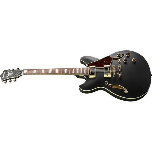 Guitarra Electrica Ibanez As73-g