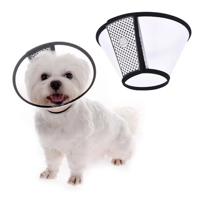 Collar Isabelino Para Perros Circunferencia 38.3 Cms