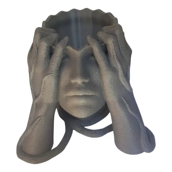 Maceta Cabeza De Mujer Raíces Impreso En 3d