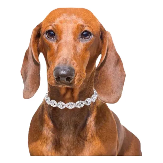 Collar Decorativo Elegante De Cristales Para Mascotas