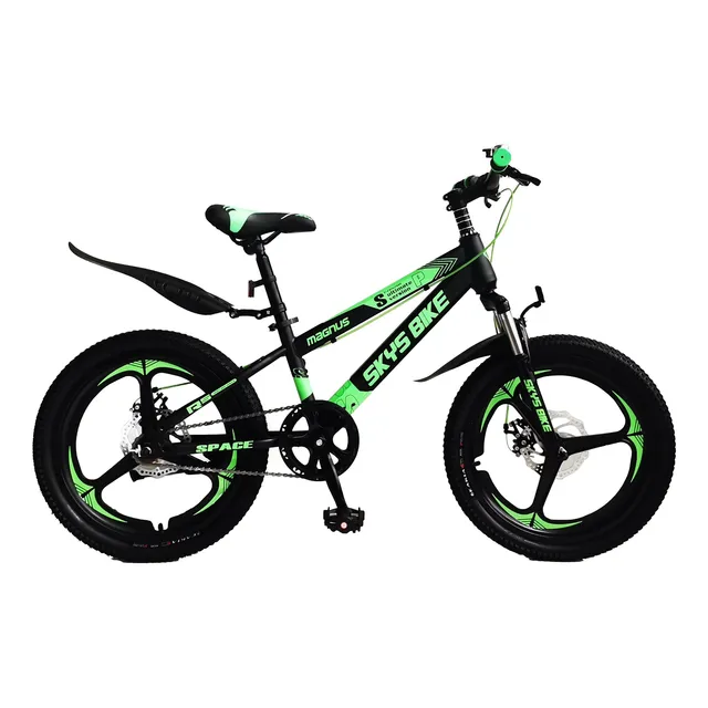Bicicleta Aro 20 Para Niño Space 