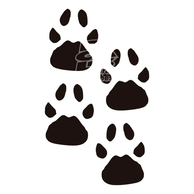 Calco Patitas De Perro Oso Gato