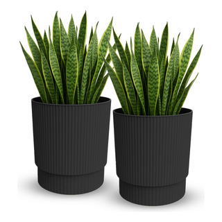 2 Macetas Grande Moderna Minimalista Interior Exterior 20 L 2 Macetas Grande Moderna Minimalista Interior Exterior 20 L