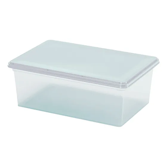 Caja Multiusos Ultraliviana 6l Rimax Práctica Resistente