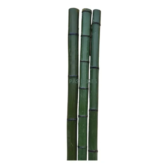 Bambu Mosso Tronco Natural Kit Com 3un De 1,90m Cada