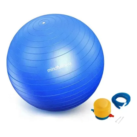 Pelota Balón De Pilates Yoga 65 Cm + Inflador -biogymstore
