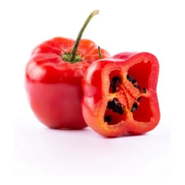 Semillas Aji Picante, Chile Rocoto