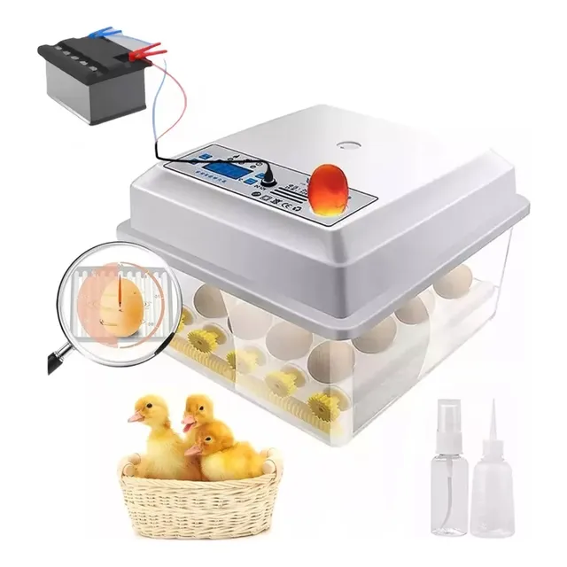 Incubadora De 16 Huevos Automatica 360 ° Espacio Ajustable