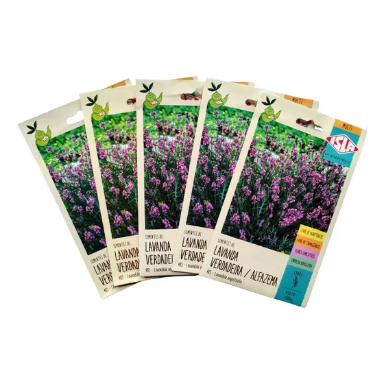Sementes Lavanda Com 5 Cartelas Sem Agrotóxico Isla