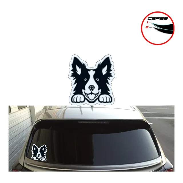 Calcomanias Perro Mascota Maleta Parabrisa Carro Todas Razas
