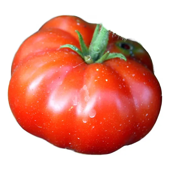 50 Semillas De Tomate Limachino 