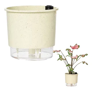 Vaso Auto IrrigĂĄvel Raiz CalcĂĄrio - NÂș 3 - MĂ©dio - 16 X 14cm Vaso Auto IrrigĂĄvel Raiz CalcĂĄrio - NÂș 3 - MĂ©dio - 16 X 14cm