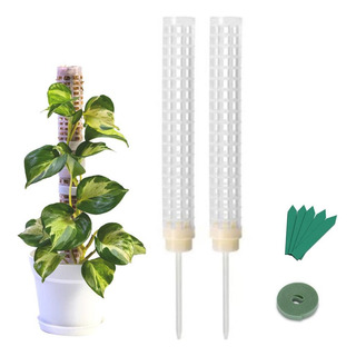 Tótem De Fibra De Coco De Plástico Moss Pole De 25 Cm Para P Tótem De Fibra De Coco De Plástico Moss Pole De 25 Cm Para P