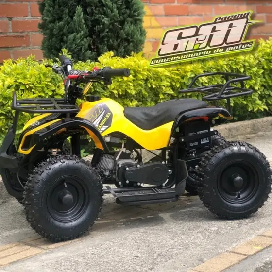 Cuatrimoto A Gasolina 50cc Paraniños A Gasolina