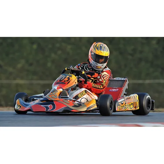 Karting Parilla 125 Rotax 150 125   Roto Fundido Faltan