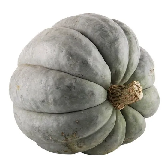 10 Semillas De Zapallo Criollo Gris Plomo 