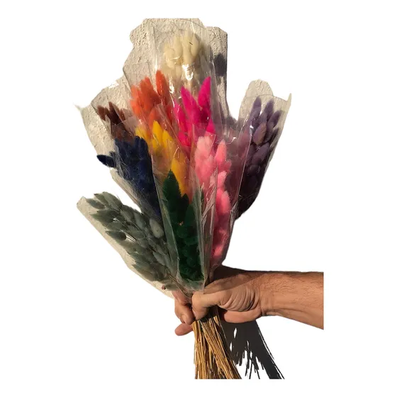 Flores Secas (colita De Zorro, Visón)