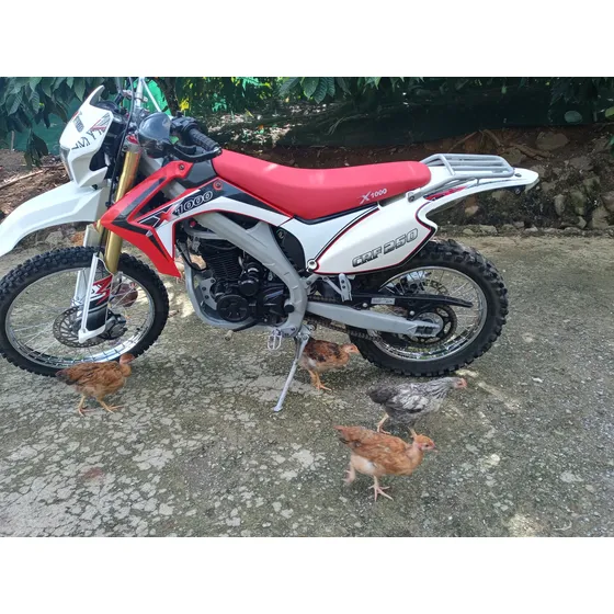 Crf250 X1000
