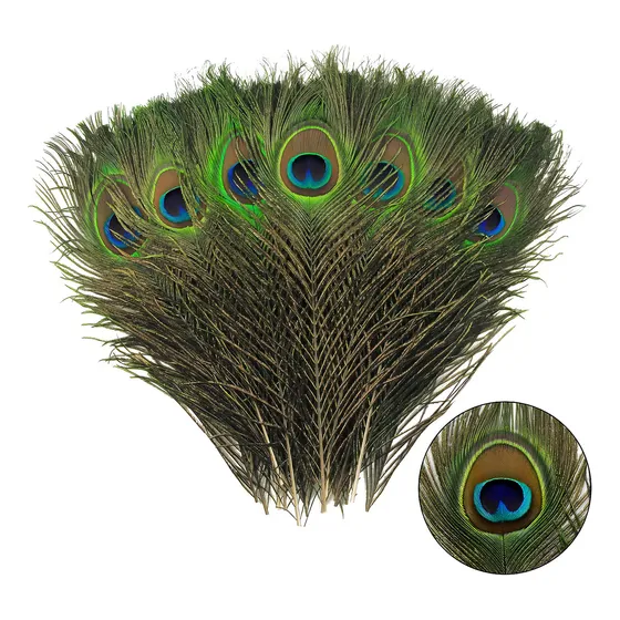 20 Pcs Plumas De Pavo Real Para Eventos Fiestas Manualidades Y Decoración De 25 A 30 Cm