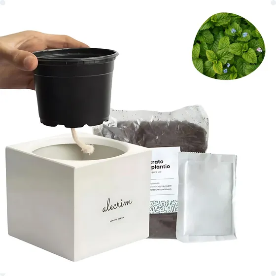 Kit Para Plantio Autoirrigável Semente Chá Vaso Branco 