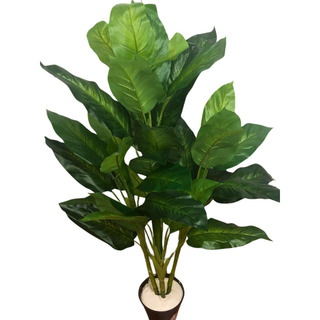 Planta Comigo Ninguém Pode Sem Vaso Folhas Grandes Realista Planta Comigo Ninguém Pode Sem Vaso Folhas Grandes Realista