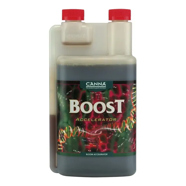 Boost Acelerator 1 Lt Canna