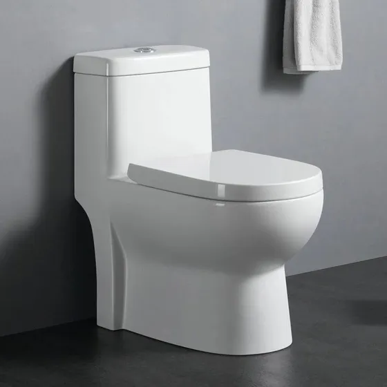 Sanitario Blanco Una Sola Pieza
