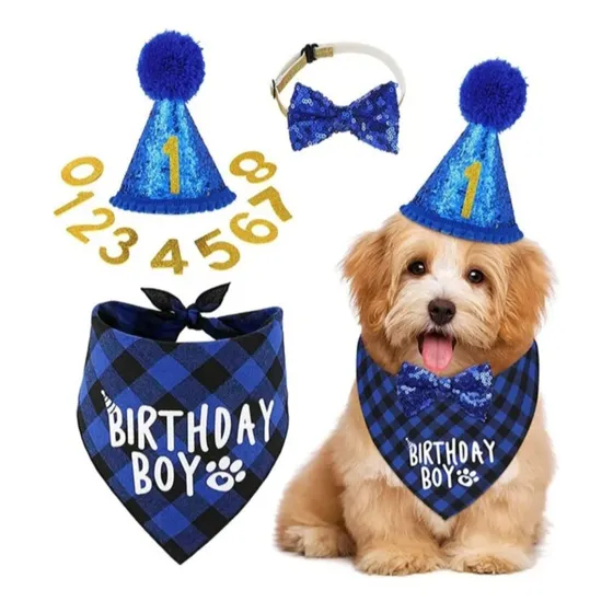Set Decoración Fiesta De Cumpleaño Para Mascotas Perros Azul