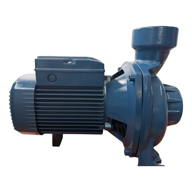 Bomba Autocebante-piscinas  City Pump Pedrollo  2 Hp, 220v.
