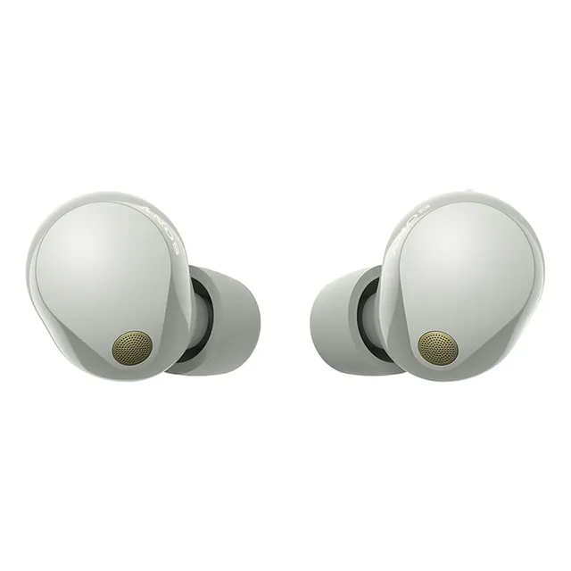 Sony Audífonos True Wireless Con Noise Cancelling Wf-1000xm5 Color Gris plata