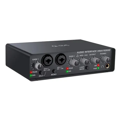 DENON DJ DS1 serato DVSインターフェース Interface de áudio de vinil digital Denon Dj Ds1 Serato Color