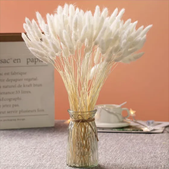 120 Hierba Pampas Secas Natural De Lagurus De Cola De Conejo