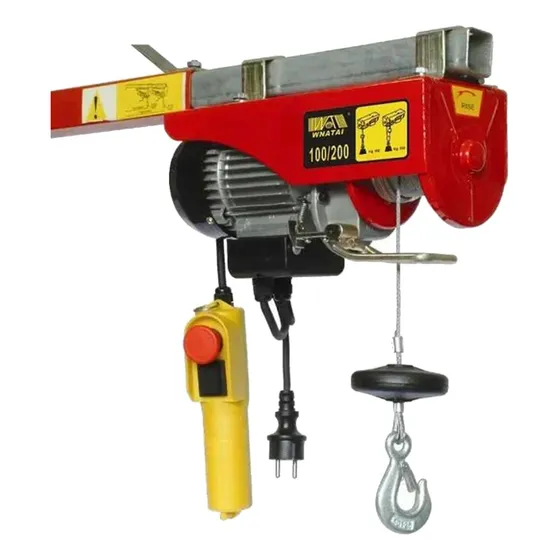 Polipasto Winche Electrico 100kg A 200kg Control 110 V