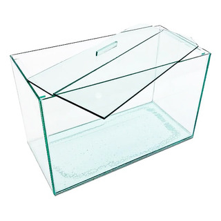 Aquário Vidro Retangular Nº4 Simples 35x17x22 11lt Peixes Aquário Vidro Retangular Nº4 Simples 35x17x22 11lt Peixes