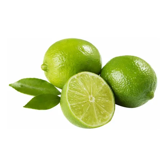 Limón Sutil De Gaza Limonero Frutal Injertado
