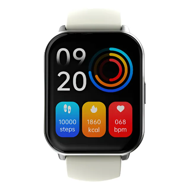 Smartwatch Hifuture Zone 2 Plateado Plateado