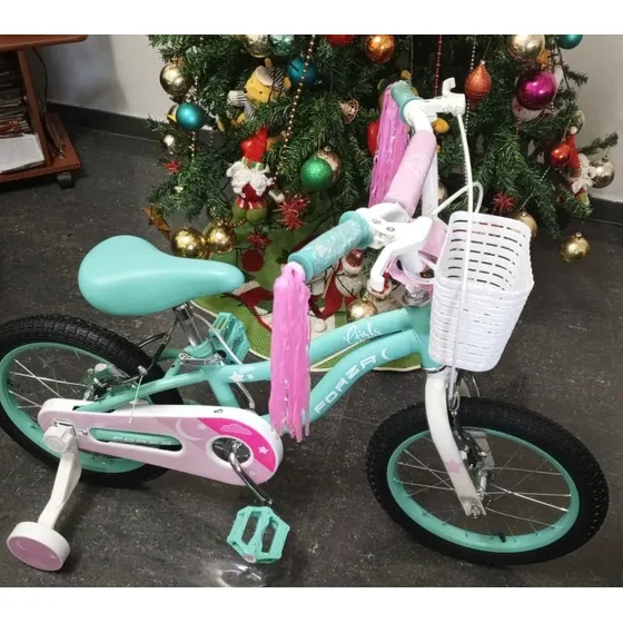 Bicicleta Rin 16