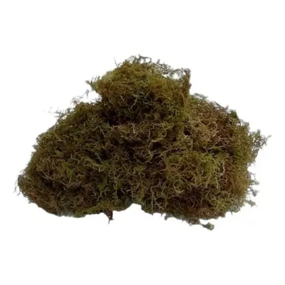 Musgo Para Kokedama X 4 Lts Tutor Bonsai Maceta Suelo Deco 
