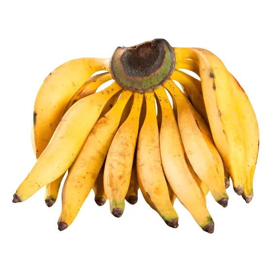 2 Mudas De Banana Brs Terra-anã Embrapa