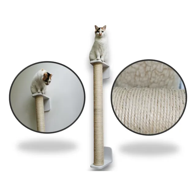 Rascador Vertical Para Gatos De Pared | Soportes Resistentes