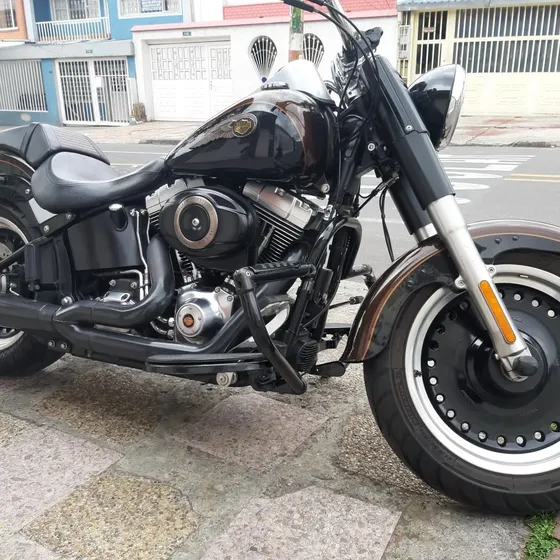 Fat Boy Lo -edicion Especial 110 Años De Harley