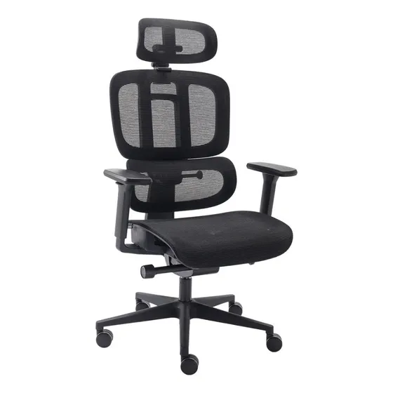 Cadeira de escritório Ergonômica Elements Sophy Preto