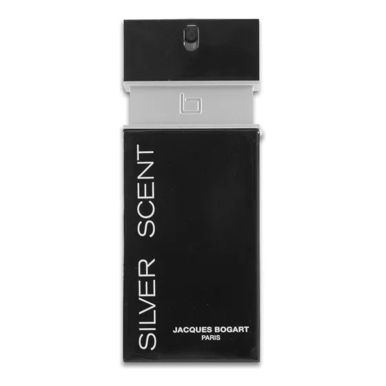 Perfume Silver Scent Edt 100ml Para Masculino