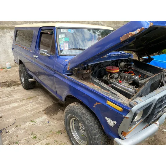Ford F-100 3.6 Std