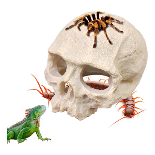 Cueva Para Tarántulas Reptiles Terrario Escondite Calavera Cueva Para Tarántulas Reptiles Terrario Escondite Calavera