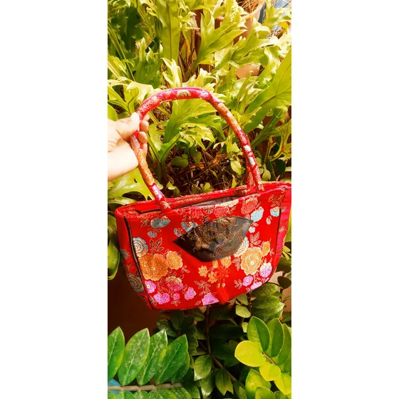 Bolsos Chinos