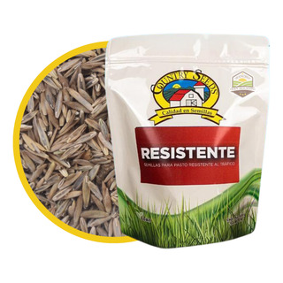 Semillas Pasto Resistente (1lb) Semillas Pasto Resistente (1lb)