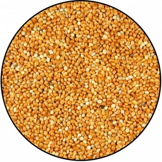Mijo Para Aves Semillas X 20 Kg