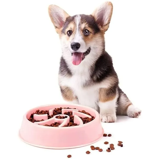Plato Para Perro Mascota Come Lento Para Digestión Laberinto