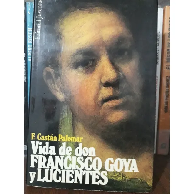 Vida De Don Francisco Goya Y Lucientes - F. Castan Palomar